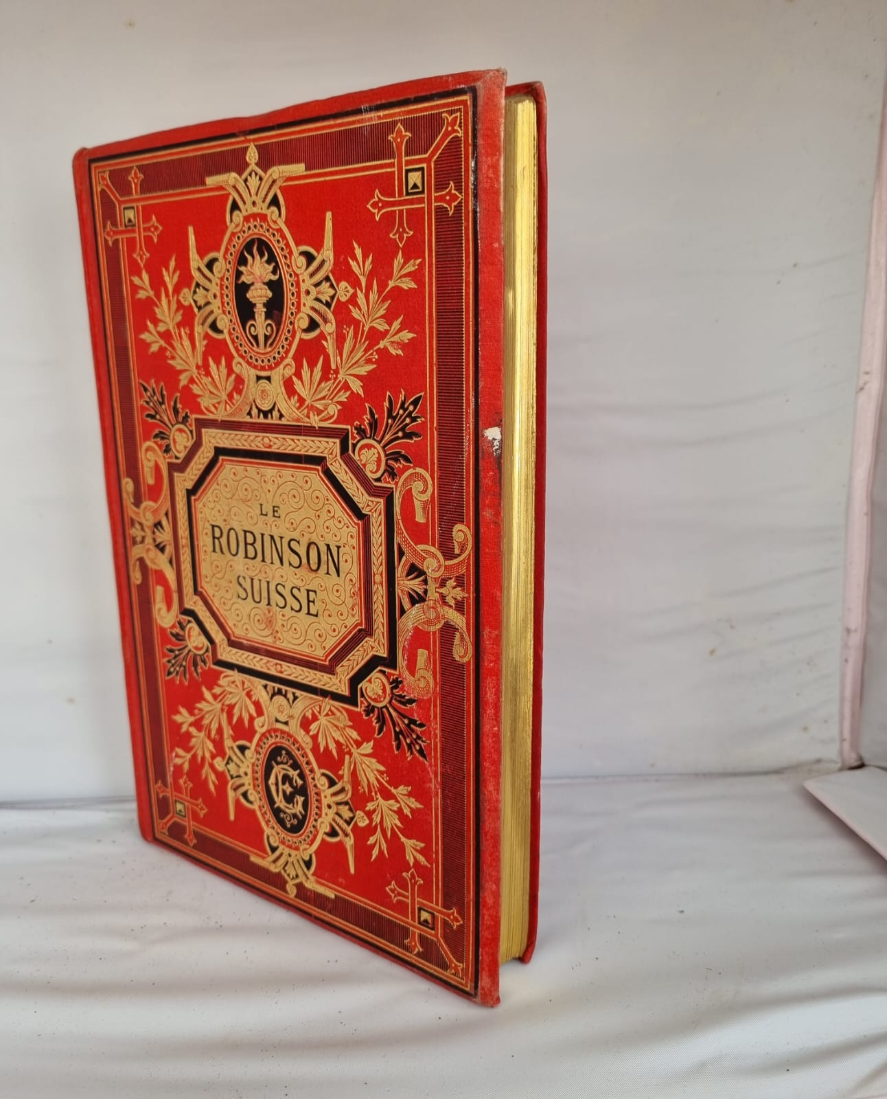 Libro Robinson Suisse